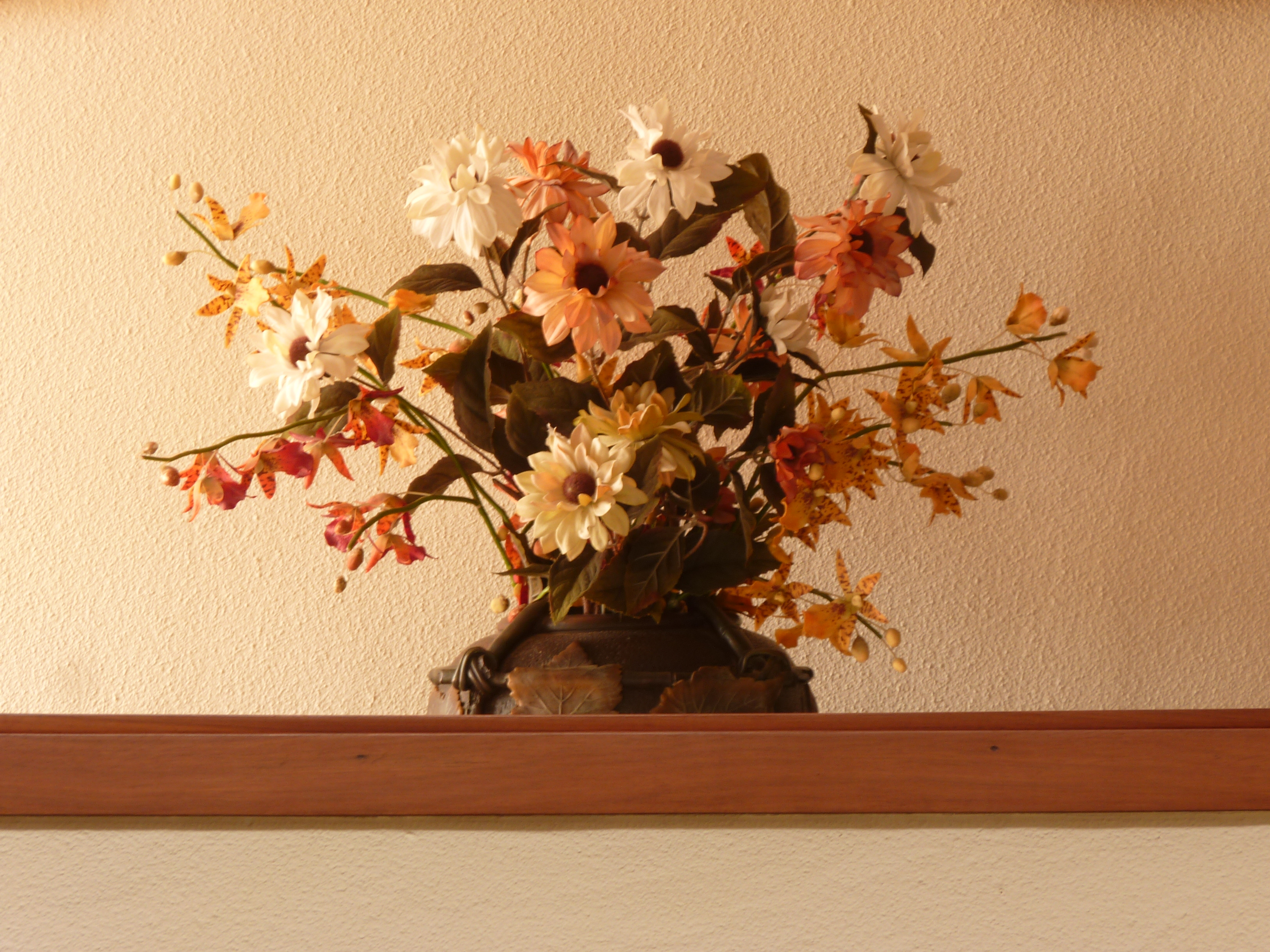 No s'ha trobat l'arxiu